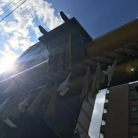 陽光がくぐる神域の境界