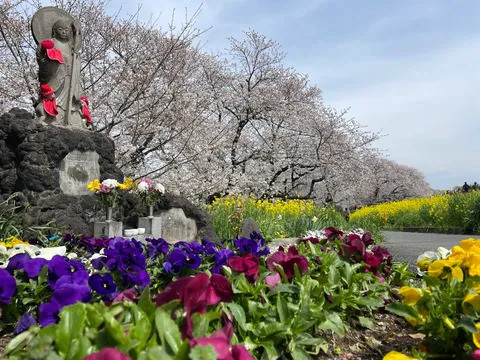 お釈迦様も思わず笑顔？花畑とお釈迦様の春景色