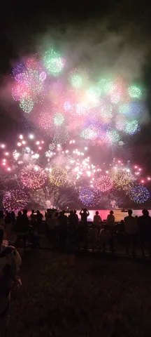 夜空を埋める光の宴