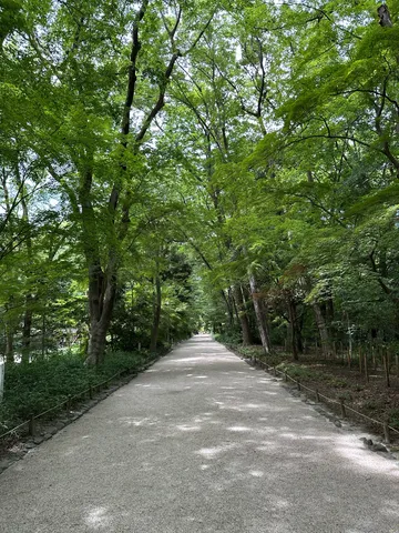 木陰の散歩道の印象