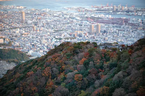 秋色の山から見下ろす街
