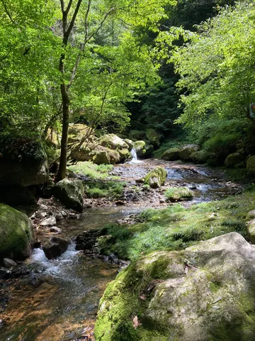 苔むす岩と清流の隠れ家