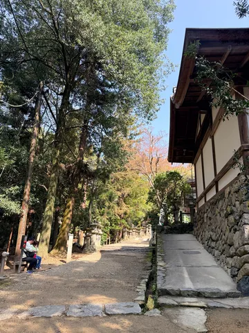 石段と緑の参道、静かな時間