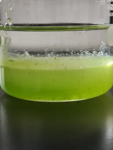 緑の泡立つ液体