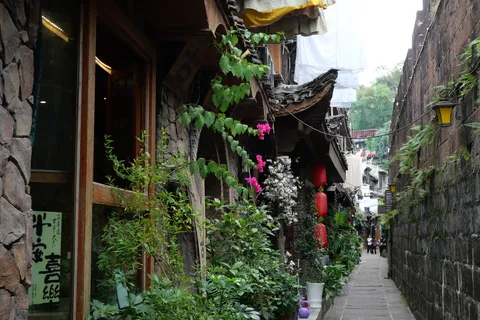 石壁の路地に映る緑と灯り