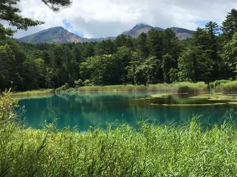 青緑の静寂を映す湖