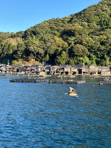 風切る鳥と古民家の風景
