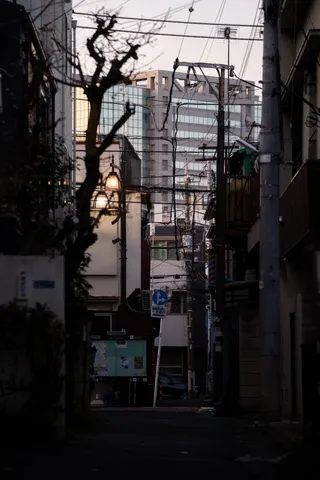 電線で迷子になりそうな路地