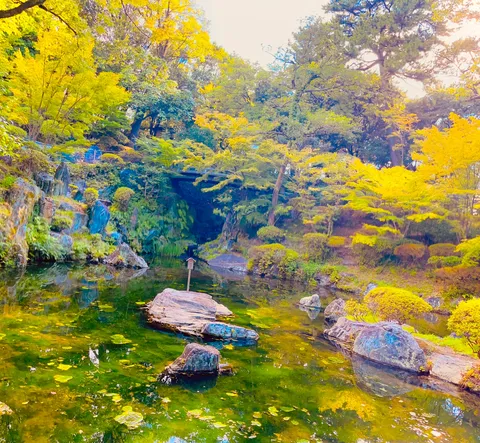 水面に映る錦秋の彩り