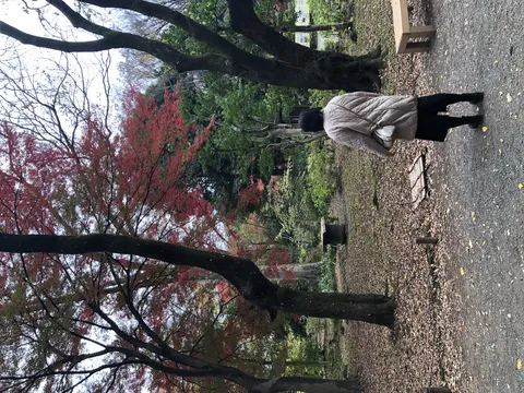 紅葉を眺めるひととき