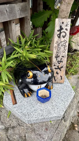 黒光る蛙と静かな祈りの縁