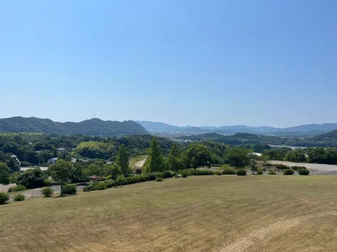 青空と緑のコントラスト