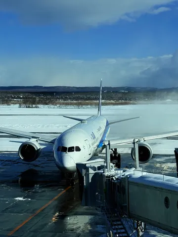 雪化粧のANA機、空の旅の始まり