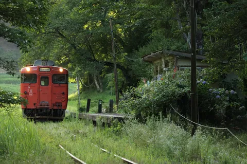 緑に包まれる郷愁の鉄路