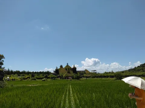 緑と青空、癒やしの田園風景