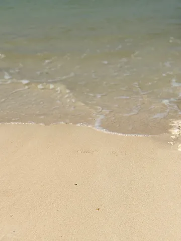 砂浜に広がる波紋の余韻