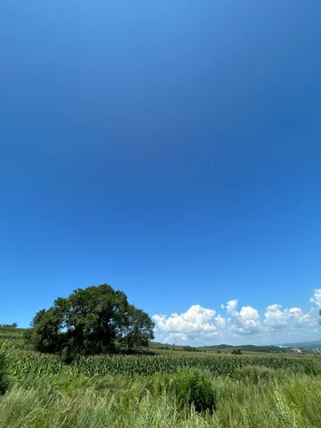広げる青と緑の静寂