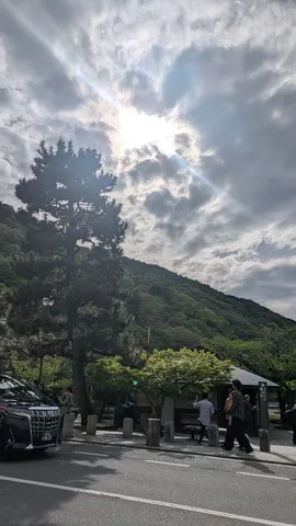 木漏れ日と夏の気配