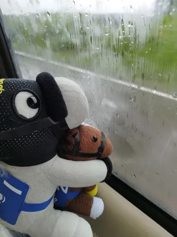 雨粒越しの君と僕