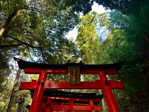 森に浮かぶ赤い鳥居の刻印