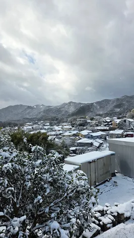 雪化粧の静かな里山