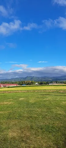 広がる緑と青い空のコントラスト