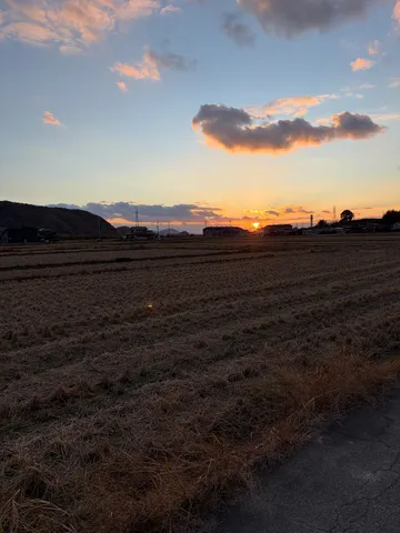 夕焼けに染まる、秋の田園風景