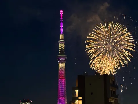 煌めくタワーと花火の夜