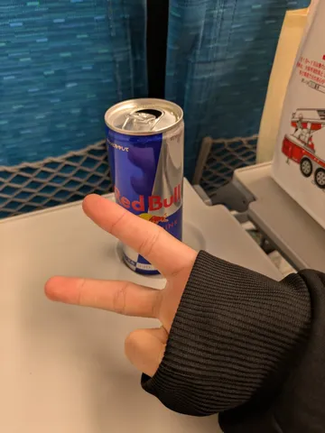 翼はもらった！Vサイン