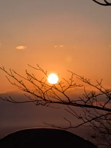 夕暮れと枝のシルエット