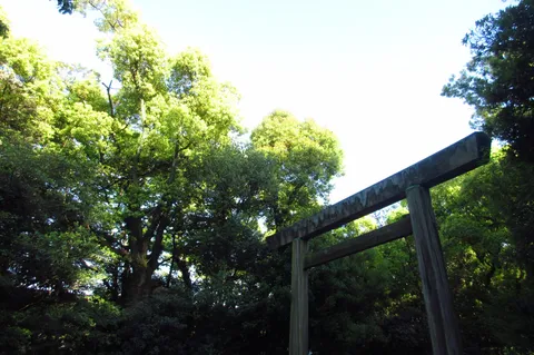 木漏れ日と鳥居の静寂