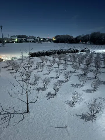 冬の静寂、雪化粧の夜
