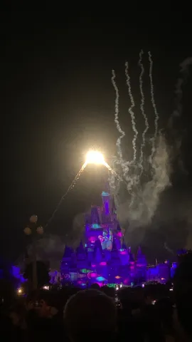 夜空に輝く魔法の城と花火