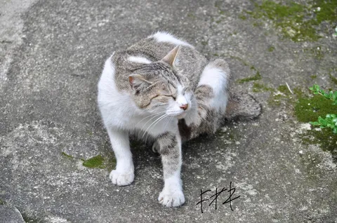 痒いけど、ちょっと休ませて