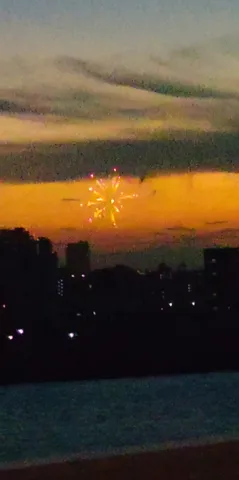 夜空に咲いた一輪の花