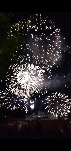 闇夜に咲き誇る光の花