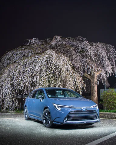 夜桜と青い車の静かな共演