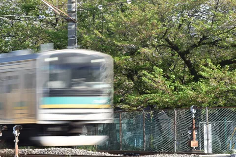 新緑を駆ける銀色の残像