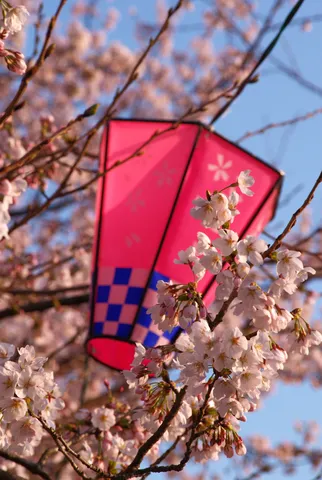 春の訪れ、揺れる桜と灯り