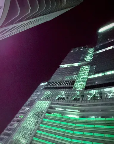 夜景の輝き、都会のジャングル