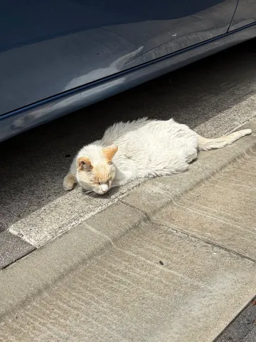日陰でひとやすみ