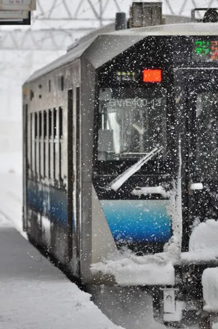 雪の中の静かな列車前景