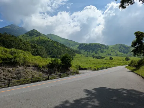 風を走る緑の道