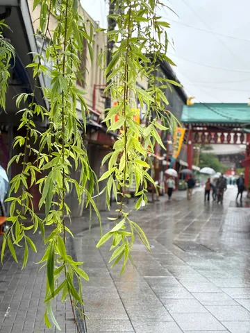 しずく揺れる雨の街