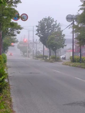 霧の中に佇む、静かな交差点