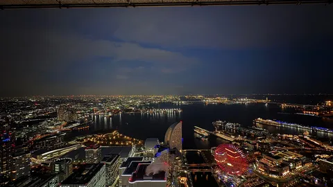 光の絨毯と夜景の海
