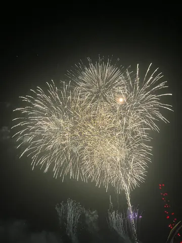 夜空に咲く光の花束