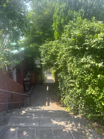緑に包まれた石段の小道