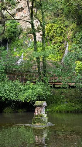 水辺に佇む苔の祠風景