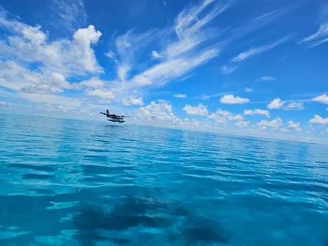 藍色の世界を翔ける水上機